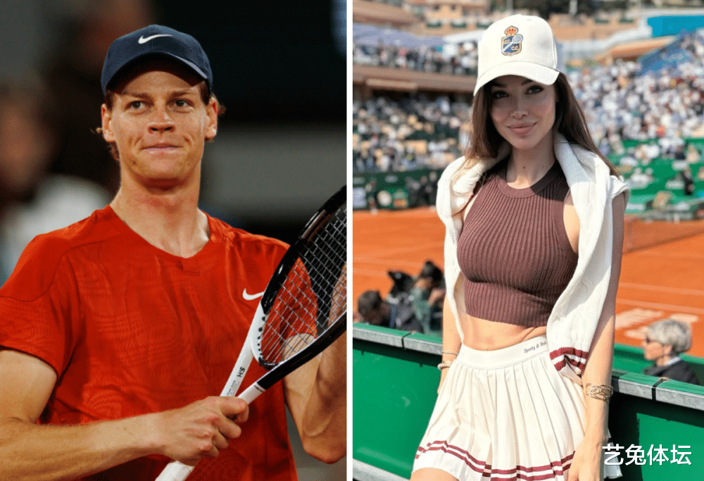 术的应用 术的应用